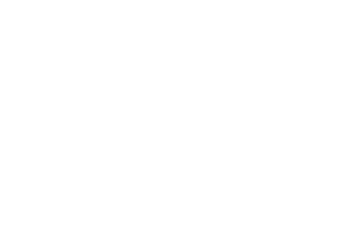 Trillionaire Honey™ logo